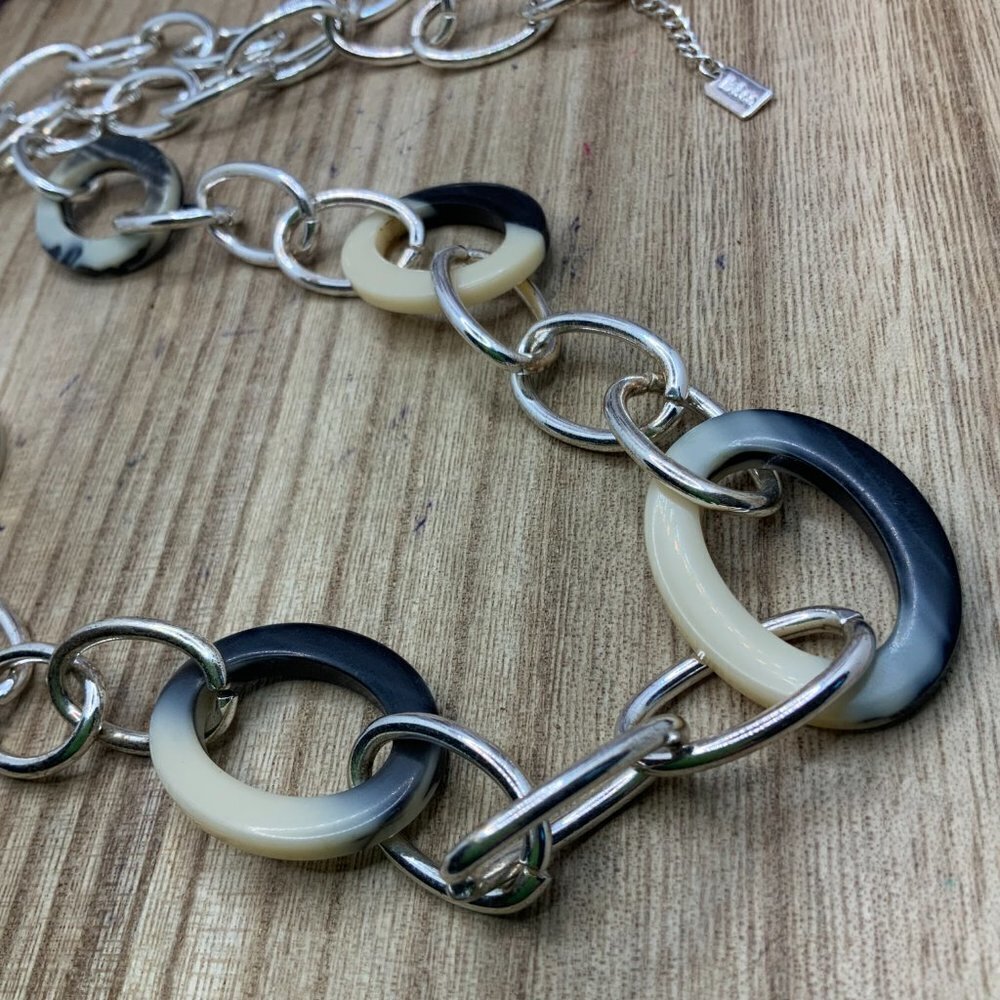 Liz & Co Resin Oval Silver Tone Link Necklace